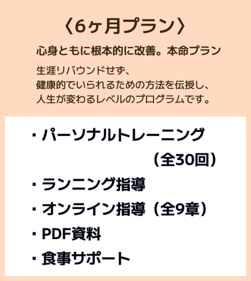 6ケ月プラン
